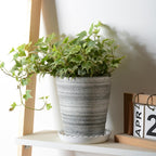 ZOOFOX 24 Pack Plastic Plant Saucer, Heavy Duty Plant Trays for Pots, Wave Plant Water Catcher Tray for Indoor Outdoor Home Garden Plants (6 Inch/ 8 Inch/ 10 Inch/ 12 Inch)