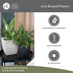 The HC Companies Aria Round Self-Watering Pot - Lightweight Plastic Planter for Herbs & More - Durable Plant Pots for Indoor Plants & Outdoor Plants (10" Glossy Avocado, Pack of 2)
