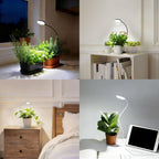 Desktop Plant Grow Light,12w Growing Lamps High Ppfd,Full Spectrum Desk Growth Light with Automatic Timer,4 Dimmable Levels（Black）