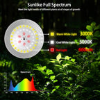 outdoor led grow light, waterproof string plant growing on a desk or shelf