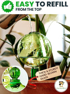 6pcs 16 Oz Plant Watering Globes for Indoor Plants with Metal Self Watering Planter Insert - Premium XL Glass Hand-Blown Globes - Automatic Plant Waterer Indoor, Gift Idea for Gardeners [6 Globes]