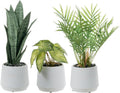 mygift artificial plants in white textured planters, set, main product view
