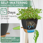ZMTECH 12 Inch Hanging Planters for Indoor Outdoor Plants, 1 Pack Self Watering Hanging Plant Pots with Drainage Holes and Removable Saucer, Plastic Flower Hanging Pots with Watering Lip (Black)