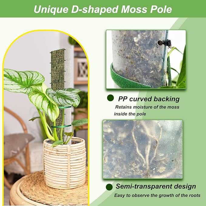 60" Metal Moss Pole, D Shape Sphagnum Moss Pole, Moss Poles for Climbing Plants, Monstera, Indoor Climbing Plants (2Pcs 60")