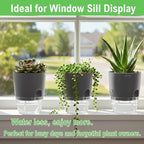3.2 Inch Self Watering Planters Plastic Planter Pots 5 Pack Wicking Flower Pots Modern Decorative Planter for Small African Violets House Plants,Herbs,Indoor Outdoor Plant (Grey)