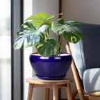 Ceramic Pot for Plants - 11 Inch Modern Round Indoor Planter with Drainage Hole and Planter Saucer for Flowers, Patio Office Home Room Decor, Gardening Gifts for Women & Men, Blue