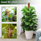 2 Pack Moss Pole, 28 Inch Bendable Moss Pole for Plants Monstera, Moss Poles for Climbing Plants Indoor, Coir Plant Pole Sticks Support Stakes for Potted Plant, Pothos, Philodendron