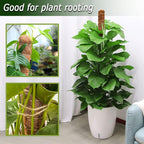 Moss Pole for Plants Monstera, 59 Inch Tall Bendable Moss Poles for Climbing Plants Indoor, Large Handmade Plant Pole Sticks, Coco Coir Plant Support Stakes for Potted Plants, Pothos