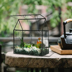large tall plant greenhouse terrarium glass with lid, close-up detail