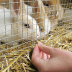 YARDGARD – 1/2 Inch Mesh Welded Wire Fence Hardware Cloth – 24 in. x 25 ft. 19‑Gauge Galvanized Steel – for Chicken Coops | Garden Protection | Bird and Rabbit Enclosures