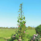 Trellis for Climbing Plants Outdoor, 73inch Tall Plants Trellis Support Metal Garden Trellis for Vegetables Flowers Plants Vine Support