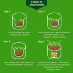 Delxo 10 Pack 10 Gallon Potato Grow Bags,Grow Bags for Vegetable with Window, Double Layer Premium Breathable Nonwoven Cloth for Potato/Plant Container/Aeration Fabric Pots with Handles in Green