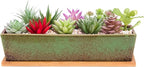 Succulent Pots - Large Succulent Planter Pots with Drainage, 12 Inch Long Rectangle Bonsai Pot with Bamboo Tray Shallow Ceramic Cactus Flower Planter Window Box for Home Garden Decor (Green)