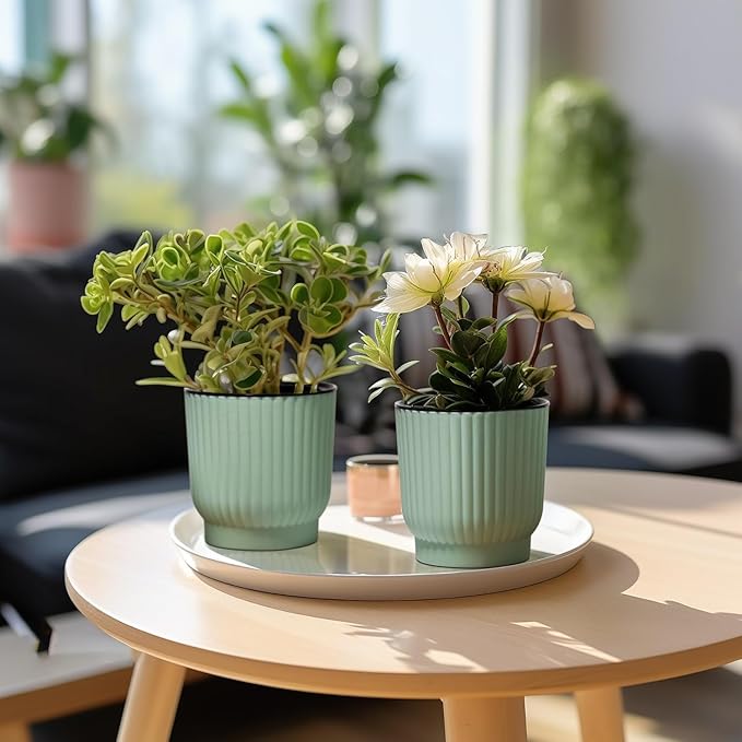 T4U 4.5 Inch Plant Pots Self Watering, 6 Pack African Violet Pots, Small Plant Pots for Plants, Small Indoor Plant Pot, Self Watering Planter for African Violet, Succulents (6 Pack 4.5" Pots, Green)