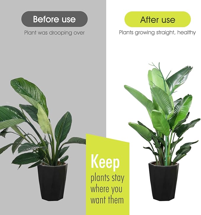 6 Pack Plant Support Stakes for Indoor Plants, 39.37 Inch Tall Twig Plant Sticks with Orchid Clips Twist Ties and Plant Ties for House Potted Monstera Plants Support, Green