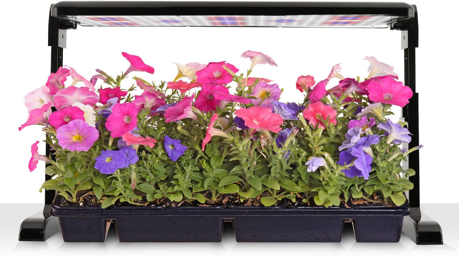 AeroGarden 45W LED Grow Light Panel | Grow Light for Plants, Includes Stand and Hanging Kit