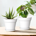 5 Inch Plastic Plant Pots with Drainage Holes and Trays – 6 Pack Small Nursery Pots for Indoor & Outdoor House Plants and Flowers, Seedling Starter Planters, White