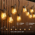 addlon 50FT LED Outdoor String Lights with Edison Shatterproof Bulbs, Weatherproof Strand, Commercial Grade Patio Lights, Decorative for Garden or Patio, Black