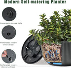 T4U 10 Inch Self Watering Pots for Indoor Plants, Plastic Plant Pots with Drainage Hole, Large Flower Pots for Indoor Outdoor Plants Cactus, Garden, Set of 2, Gray