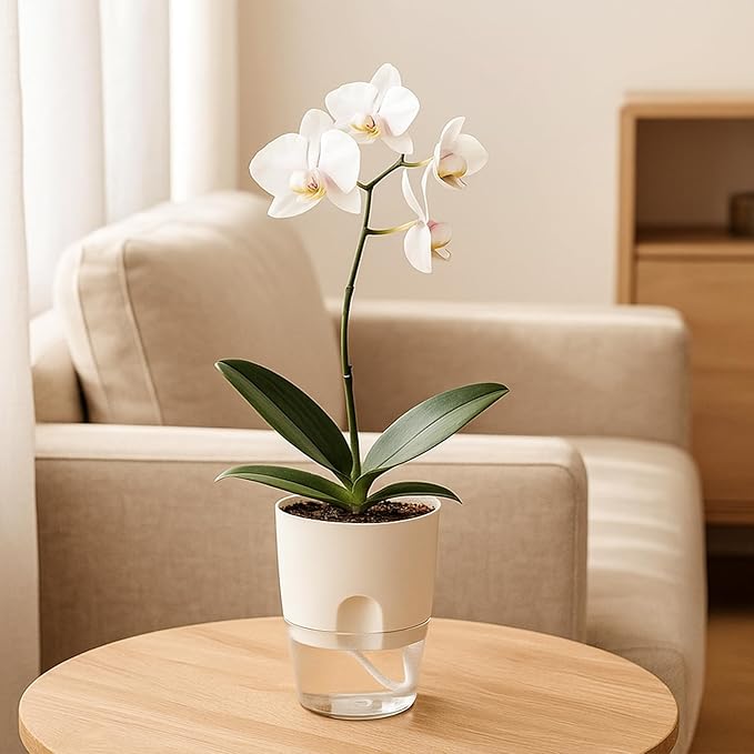8 Pack Self Watering Pots for Indoor Plants, PlanterHoma 3.2 Inch Plant Pot Plastic Self Watering Planter for Orchid, African Violet, Mini Clear Flower Pots with Drainage Holes and Wicking Rope, White