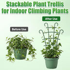 6PCS Plant Support Stakes, Stackable Plant Trellis for Indoor Climbing Plants, Small Plastic Support for Pothos & Hoya Houseplants Flower Plant Support, Potted Plant Trellis for Houseplants