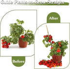 Plant Stakes 16inch, 20Pcs Natural Bamboo Sticks Garden Stakes, HAINANSTRY Plant Support Stakes for Indoor & Outdoor Plants, Orchid Tomato Vegetable Stakes for Garden