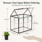 large tall plant greenhouse terrarium glass with lid showing dimensions