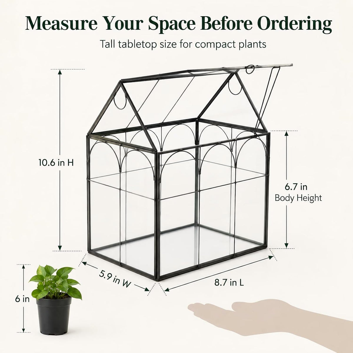 large tall plant greenhouse terrarium glass with lid showing dimensions