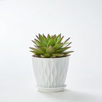 FaithLand 6-Pack 6-Inch Plastic Plant Pots with Saucers | Thickened PP Material, Modern Wave Texture, Enhanced Drainage for Indoor/Outdoor Garden Plants | White Value Set