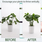 5PCS Monstera Plant Stem Support 7.3*6.25IN Adjustable Holder for Indoor Plants, Durable Metal Structure with Gentle Clips, Perfect for Fishbone Cactus & Climbing Plants, Ideal Gardening Gift