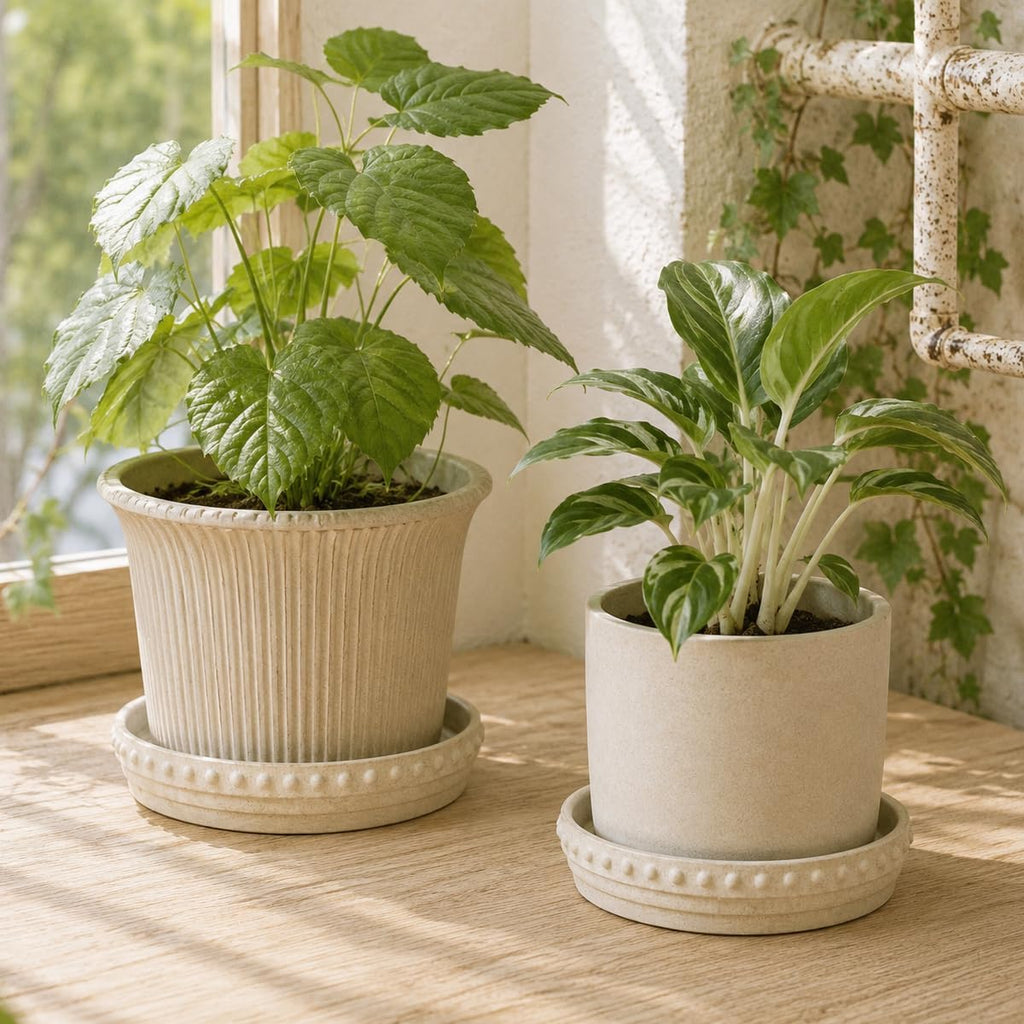 Plant Saucers, Plant Trays to Catch Water, 2 Pcs 8" Ceramic Saucer | Flower Pot Saucers fit pots up to 7", hand-painted antique beige ceramic, catches excess water to protect floors