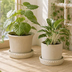 Plant Saucers, Plant Trays to Catch Water, 2 Pcs 8" Ceramic Saucer | Flower Pot Saucers fit pots up to 7", hand-painted antique beige ceramic, catches excess water to protect floors