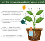 Terracotta Ollas Watering Pots, 2 PCS Slow Release Plant Watering Globes Terracotta Self Watering Planter Insert, Holds 15 Oz Water Automatic Watering System for Potted Plants While On Vacation