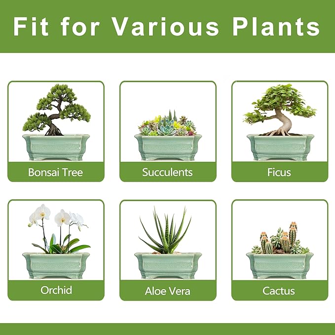 Bonsai Tree Pot 11.6 Inch - Ceramic Succulent Pots, Bonsai Planter for Indoor Outdoor, Decorative Plant Pot with Drainage Hole, Rectangular Flower Pot, Home Garden Decor, Garden Gifts, Green