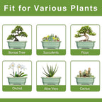 Bonsai Tree Pot 11.6 Inch - Ceramic Succulent Pots, Bonsai Planter for Indoor Outdoor, Decorative Plant Pot with Drainage Hole, Rectangular Flower Pot, Home Garden Decor, Garden Gifts, Green