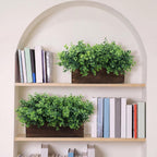 lyrow 2 pack eucalyptus plant,brown,11.4 inch,emerald green round, close-up detail