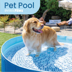 INTEX 48400EP 60in x 12in Foldable Dog Pool Portable Pet Swimming Pool Bathing Tub for Small Medium Large Puppy Dogs Cats