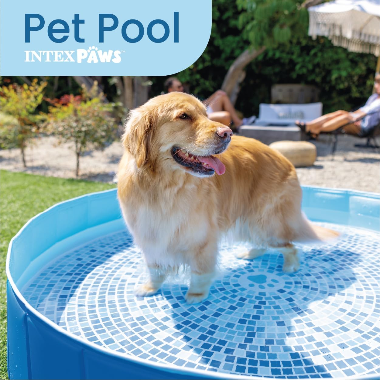 INTEX 48400EP 60in x 12in Foldable Dog Pool Portable Pet Swimming Pool Bathing Tub for Small Medium Large Puppy Dogs Cats
