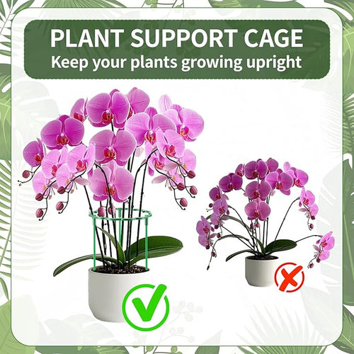 36 Pack Plant Support Stakes Sets - Versatile Plant Cages, Stackable Garden Flower Support， Small Plant Stakes for Indoor Plants,Tomato,Monstera, Peony, Hydrangea, Climbing Plants