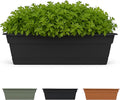 Bloem Dura Cotta 18" Black Resin Rectangle Window Box Planter with Saucer Tray for Indoor and Outdoor Gardening