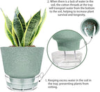 Plant Pots - 6" Orchid Pot, 5 Pack Orchid Pots with Holes - Self Watering Pots for Indoor Plants - Plant Pots with Drainage Hole and Tray Saucer (Frosted Gray)