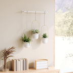 umbra triflora hanging planter, indoor herb garden, set, view 15