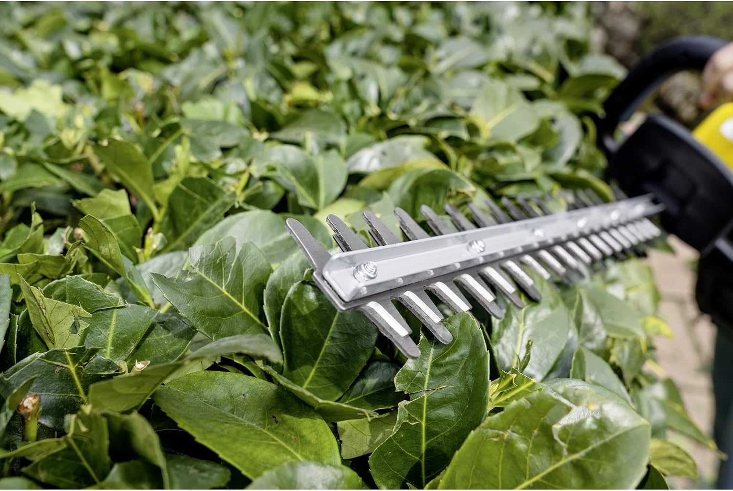 Kärcher 18 V Hedge Trimmer HGE 18-45, Cutting Length: 45 cm, ‎Diamond Cutting Blade, Weight: 2.68 kg, Cordless, Power: max. 250-500 m, Compatible with 18 V Battery, Battery not Included