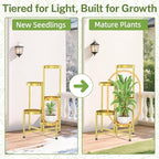 iDavosic.ly Plant Stand Indoor Outdoor, 5 Tier Corner Metal Flower Display Holder Shelf, Easy Assembly Folding Tall Orchid Rack for Patio Balcony Porch Garden Living Room House, Gold