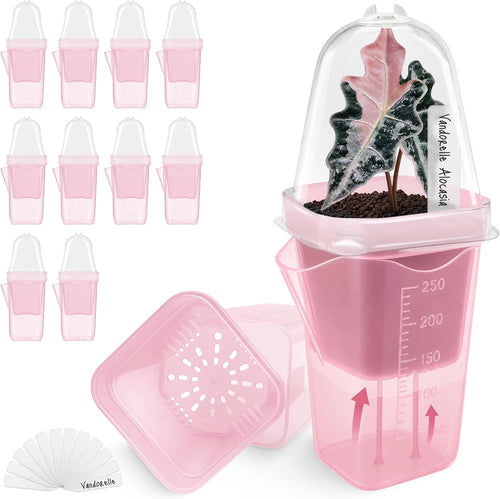 2.5" small pink self watering pot with humidity, main product view