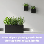 LaLaGreen Wall Planters (3-Pack Set) Rectangular Wall Mounted Hanging Flower Boxes for Indoor Plants, Black Carbon Steel Metal Windox Box Planter Plant Modern Balcony Windowsill Herb Home Garden Decor