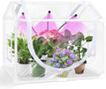 desktop mini indoor greenhouse with adjustable grow light, main product view