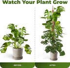 2 Pack 48'' Bendable Moss Pole Monstera Plant Support for Climbing Indoor Plants - Stakes for Potted Climbers - Tall Sticks Indoor Trellis for Houseplants - Accessories for Monstera Pot