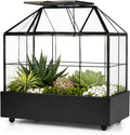 large tall plant terrarium glass – glass greenhouse, main product view