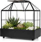 large tall plant terrarium glass – glass greenhouse, main product view
